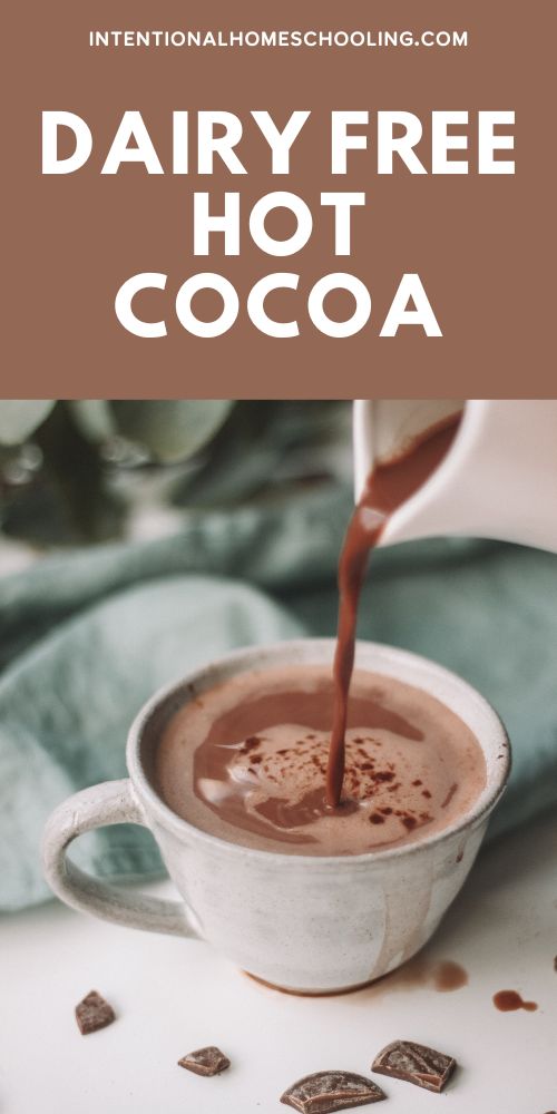 The Best Homemade Dairy Free Hot Cocoa Recipe