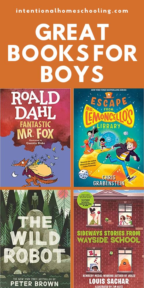 Great Chapter Books and Graphic Novels that Boys will Love