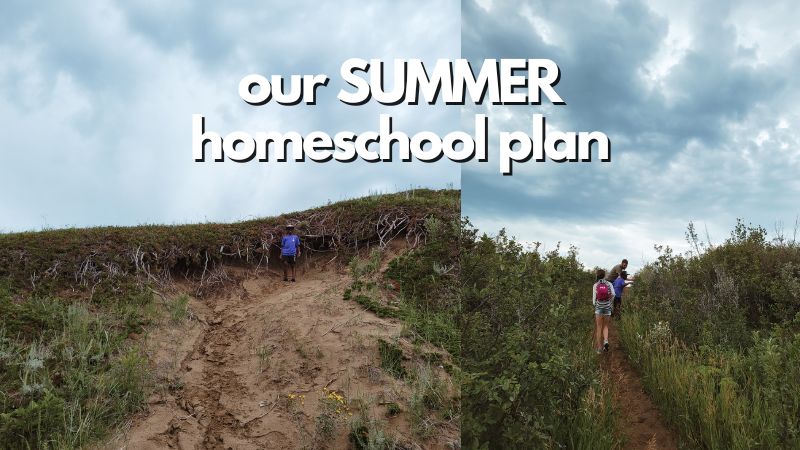 Our Homeschool Summer Plan - (and the books we want to read) - Intentional Homeschooling